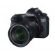 Canon EOS 6D EF 24-105mm f/3.5-5.6 IS STM Lens Kit