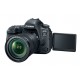 Canon EOS 6D Mark II EF 24-105mm f/3.5-5.6 IS STM Kit