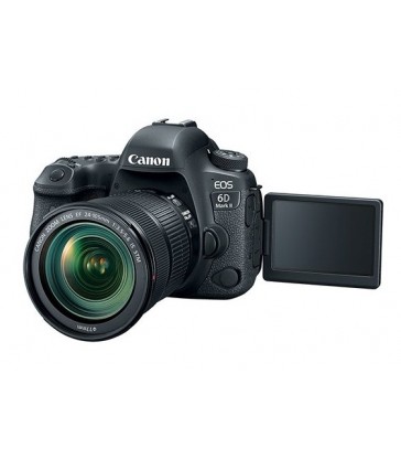 Canon EOS 6D Mark II EF 24-105mm f/3.5-5.6 IS STM Kit