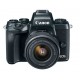 Canon EOS M5 EF-M 15-45mm f/3.5-6.3 IS STM Lens Kit