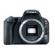 Canon EOS Rebel SL2 Body (Black)