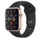 Apple Watch Series 5 Gold Aluminum Case with Sport Band