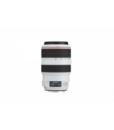 Canon EF 70-300mm f/4-5.6L IS USM