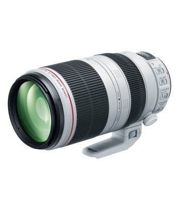 Canon EF 100-400mm f/4.5-5.6L IS II USM