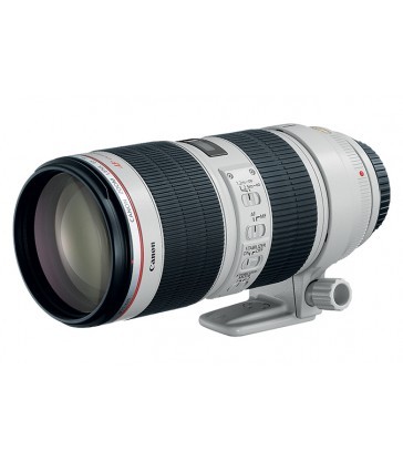 Canon EF 70-200mm f/2.8L IS II USM