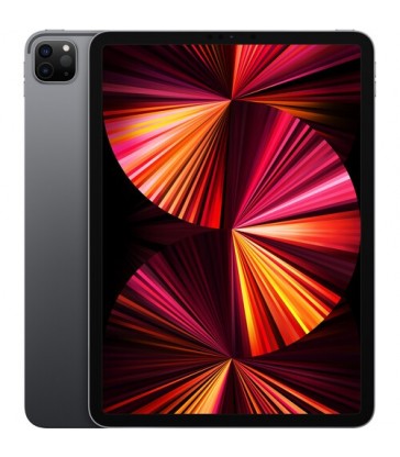 Apple 11" iPad Pro M1 Chip (256GB, Wi-Fi Only)