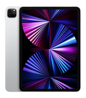 Apple 11" iPad Pro M1 Chip (2TB, Wi-Fi Only)