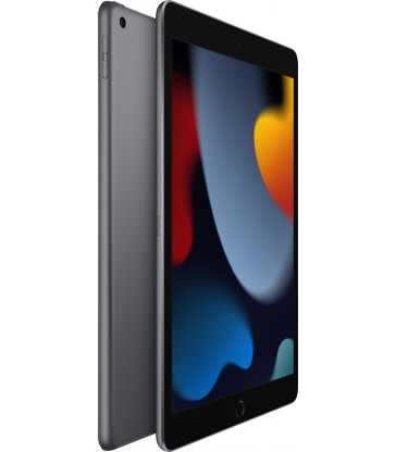 iPad 10.2" (9th Gen, 64GB, Wi-Fi + LTE)