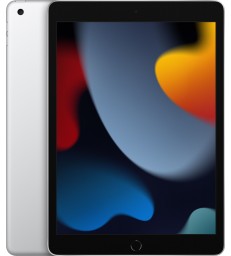 iPad 10.2" (9th Gen, 256GB, Wi-Fi + LTE)