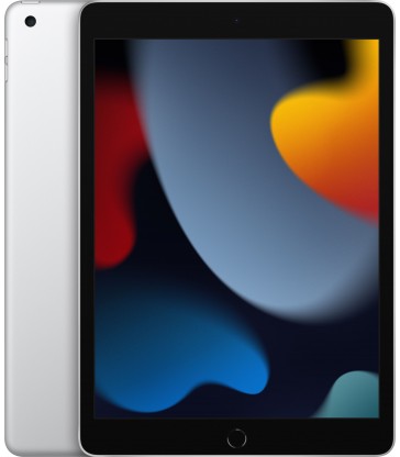 iPad 10.2" (9th Gen, 256GB, Wi-Fi + LTE)